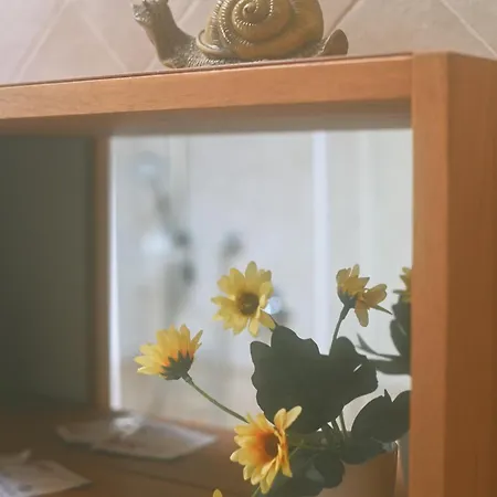 Le Dimore Di Mazzini Terst